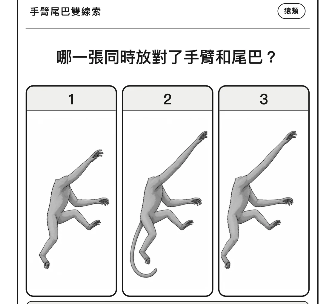 第一次的長臂猿手臂尾巴題